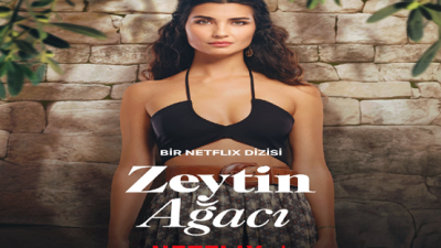 Zeytin Ağacı